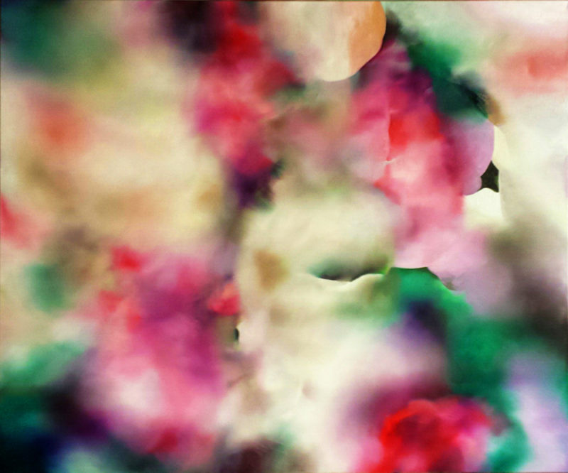 RHEA STANDKE-Melody Pond 800x666